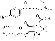 Procaine Benzylpenicillin